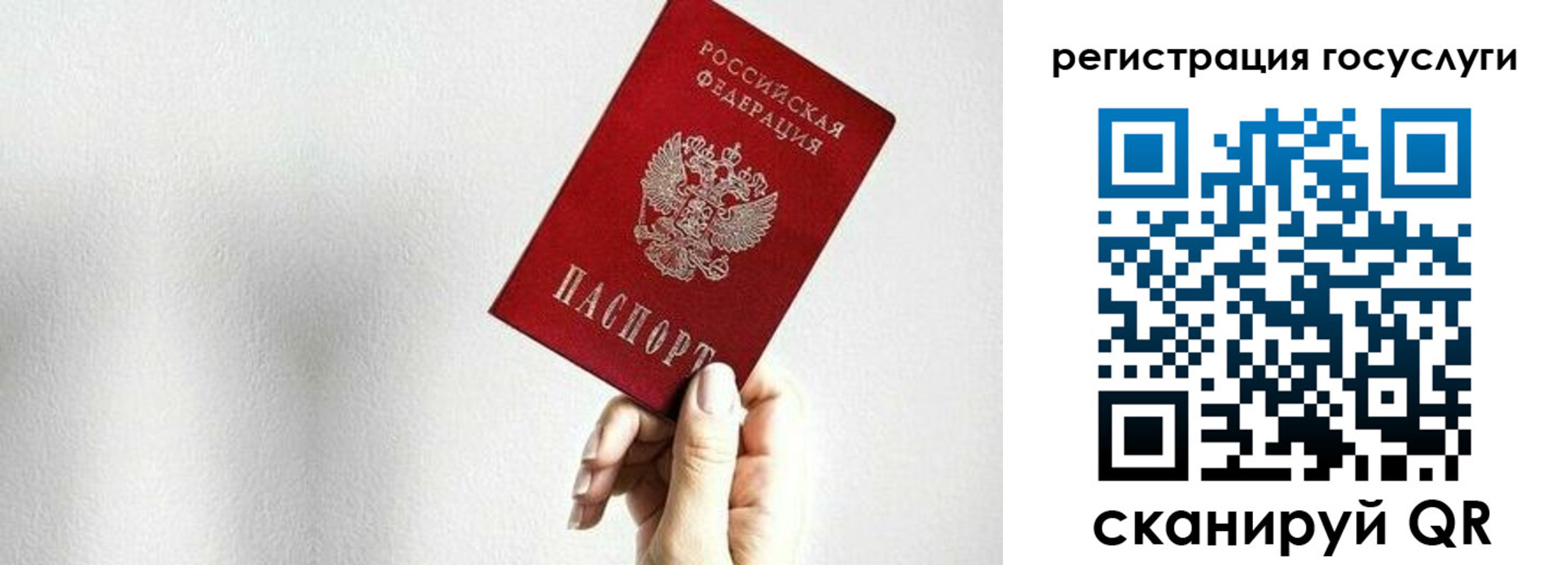 прописка гарантия в Зеленогорске